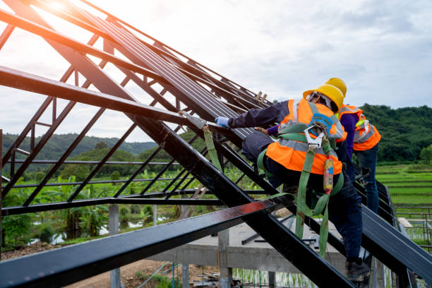 Best Slate Roofing Contractor  in Springfield, MN