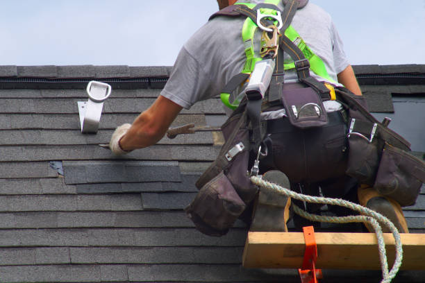 Best Flat Roof Repair Services  in Springfield, MN