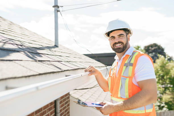 Best Roof Repair Services  in Springfield, MN