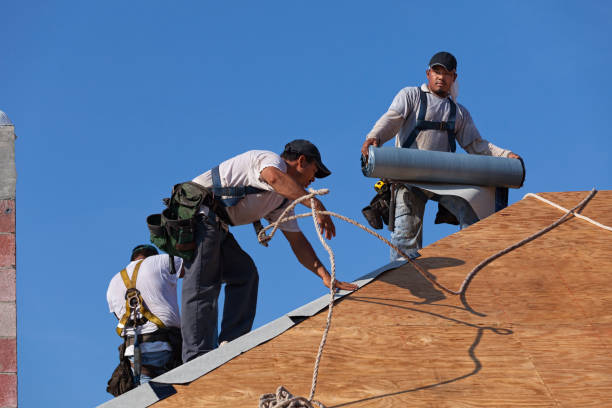 Professional Roofing Contractor in Springfield, MN