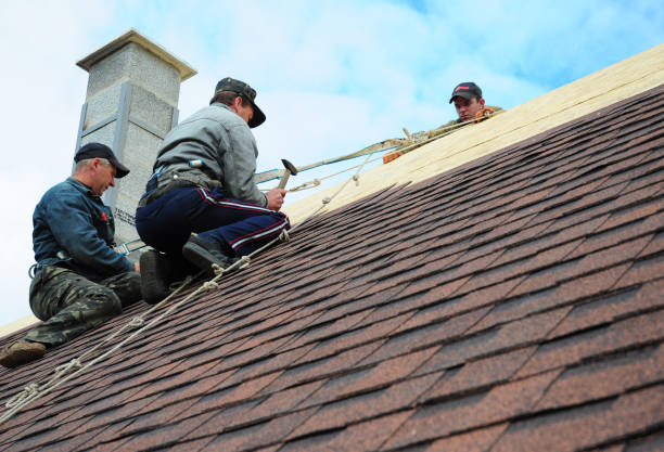 Quick and Trustworthy Emergency Roof Repair Services in Springfield, MN
