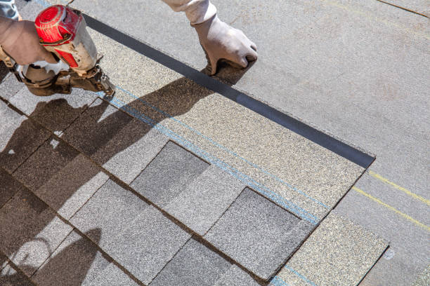 Best Roof Restoration Services  in Springfield, MN
