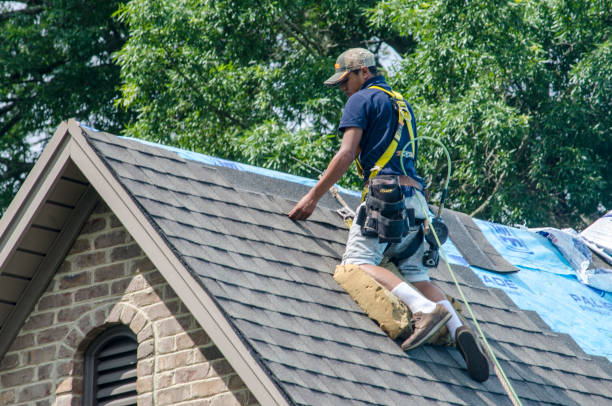 Best Commercial Roofing Services  in Springfield, MN