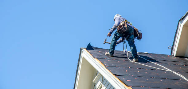 Residential Roof Replacement in Springfield, MN
